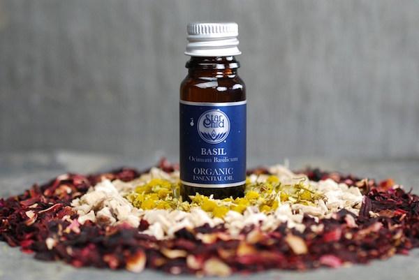 BASIL SWEET LINALOOL ESSENTIAL OIL