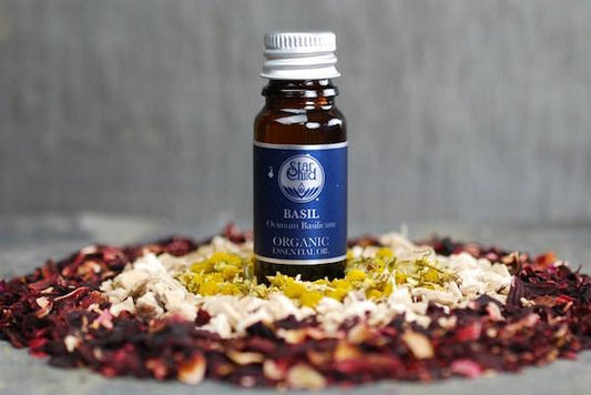 BASIL SWEET LINALOOL ESSENTIAL OIL